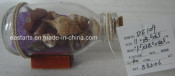 Drift Glass Bottle Wooden Decoration Marine Gifts (DF109)