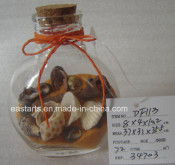 Drift Glass Bottle Wooden Decoration Marine Gifts (DF113)