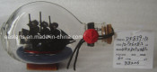 Drift Glass Bottle Wooden Decoration Marine Gifts (DF839-12)