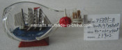 Drift Glass Bottle Wooden Decoration Marine Gifts (DF895-8)