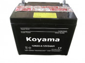 Dry Charge Car Battery (12N24-4/3-26N19R/L)