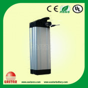 Electric Bike Battery Lithium LiFePO4 with BMS