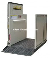 Electric Wheelchair Lift with CE (SJG II)