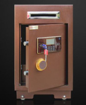 Electronic Safe Accepted Customized