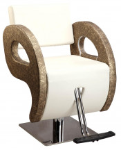 Elegant Appearance Used Salon Chair (MY-A066B)