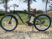 En15194 36V 250W Cheap Price OEM Electric Bicycle China