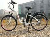 En15194 Europe Standard 36V 250W Electric Bike with Pedals