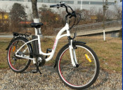 En15194 Green Power Electric Bike with Pedals for Sale