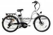 En15194 Popular Electric Bike (TDB01Z-633)