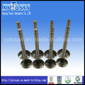 Engine Valve 1104/Mf385/Mf825/1000 Series for Perkins