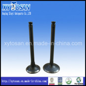 Engine Valve OEM for Nissan (CD20, LD20, LD23, RD28, D28T)