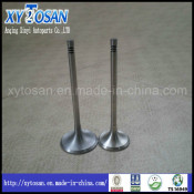 Engine Valve for Ford (TIERRA, LIATA, MONDEO 1.6, ESCORT 1.6)