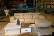 Europe Style Leather Sofa Jfc-20