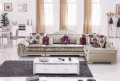 European Luxury Living Room Sectional Sofa (DB802)