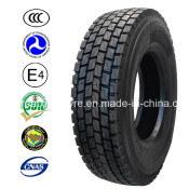 Excellent Performence Truck Tyres (10.00R20)