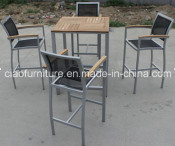 F-Bar Furniture with Teakwood Talbe on Top and Screen Cloth Chair