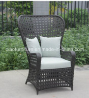 F-CF620c Hotel Lobby Peacock Garden Wicker Chair