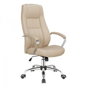 Fashionable Manager Erognomice Swivel High Back Office Chair (FS-2035H)