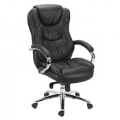 Fashionable Manager Erognomice Swivel Office Chair (FS-2031)