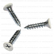 Flat Head Phillips Self Tapping Screw with Head Painted