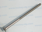 Flat Head Phillips Thread Cutting Screw