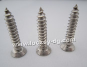 Flat Head Undercut Self Tapping Screw