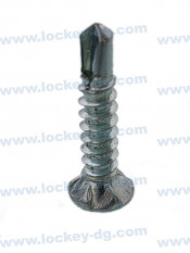 Flower Head Self Drilling Screw