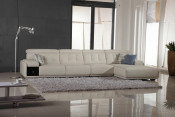 Furniture Modern Sectional Sofa (RJ-9007)