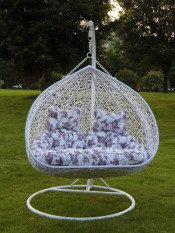Garden Furniture Rattan Love-Seat Hanging Swing Chair (FH-005)