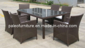Garden Outdoor Patio Wicker Rattan Dining Set (PAD-005)