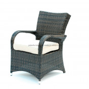 Garden Outdoor Wicker Patio Rattan Chair (PAC-003)