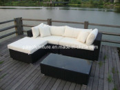 Garden Outdoor Wicker Patio Rattan Sofa Set (PAS-1114)