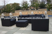 Garden Patio Outdoor Wicker Rattan Sofa Set (PAS-051)