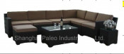 Garden Patio Wicker Furniture Rattan Outdoor Leisure Sofa Set (PAS-097.2)