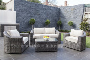 Garden Patio Wicker Outdoor Furniture Rattan Sofa Set (PAS-030)