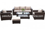 Garden Patio Wicker Outdoor Rattan Sofa Set (PAS-060B)