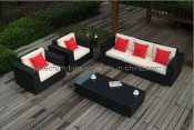 Garden Patio Wicker Outdoor Rattan Sofa Set (PAS-1120B)