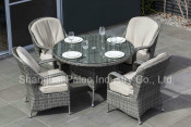 Garden Patio Wicker Rattan Outdoor Dining Table and Chair (PAD-1607)