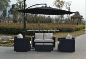 Garden Patio Wicker Rattan Outdoor Furniture (PAS-060.3)