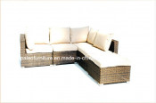 Garden Patio Wicker Rattan Outdoor Furniture (PAS-1202)