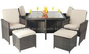 Garden Rattan Dining Set (PAD-1109)