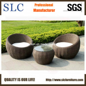 Garden Sofa for Outdoor/Round Shap Sofa/Round Sofa Furniture (SC-FT021)