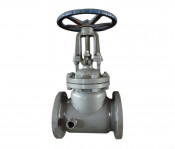 Globe Valve Z41h-16c