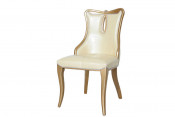 Golden New Design Modern Dining Chair (TM-H-1209)