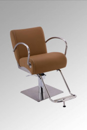 Hair Salon Styling Chair (MY-007-96)