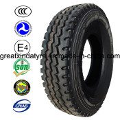 Heavy Truck Tyre, TBR Tyre for Egypt (12.00R24)