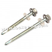 Hex Wahsher Head Self-Drilling Screw with PVC Washer
