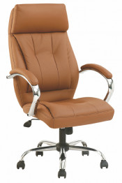 High Back Ergonomic Boss Office Chair (FS-8716)