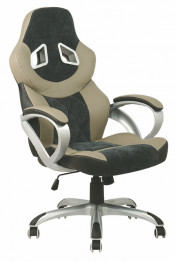 High Back Ergonomic Boss Racing Office Chair (Fs-8727)