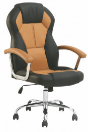High Back Ergonomic Office Chair (FS-8612)